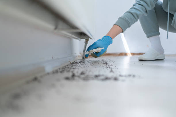 Best Bed Bug Extermination  in Albion, PA